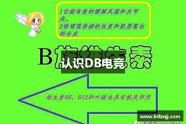 认识DB电竞